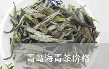 青岛海青茶价格多少？最新市场行情一目了然！