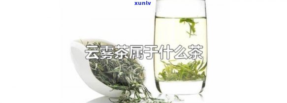 高山云雾茶属于什么茶，探寻美味：高山云雾茶的种类与特点