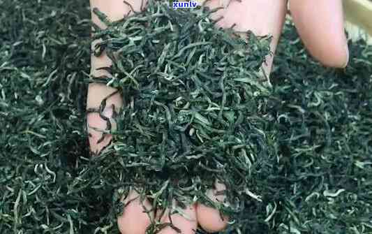 高山云雾茶属于什么茶，探寻美味：高山云雾茶的种类与特点