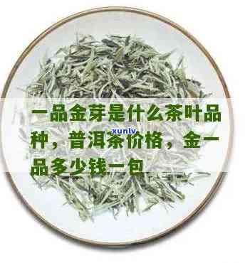 一叶一芽金芽茶价格-一叶一芽金芽茶价格多少