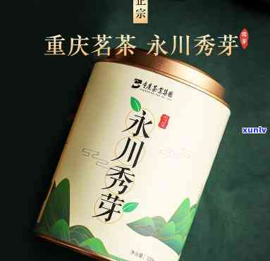 永川秀芽茶怎么样？口感、品质与价格全解析！