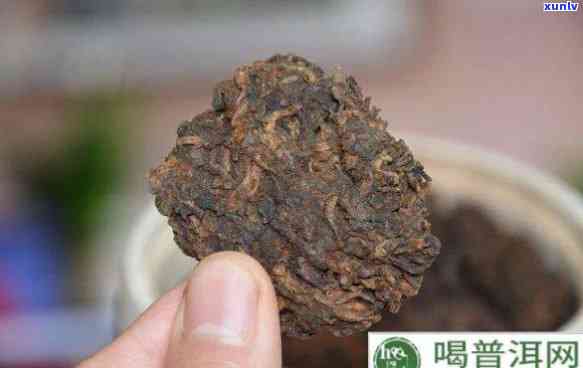 老茶头为啥有土腥味-老茶头为啥有土腥味呢