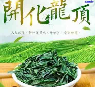 开化龙顶茶的功效与作用，探秘开化龙顶茶：功效与作用全面解析