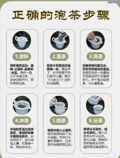 泡茶的十二个步骤，泡出完美茶：茶叶冲泡的十二个步骤详解