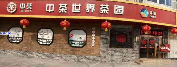 北京中茶直营店全攻略：地址及产品信息一览