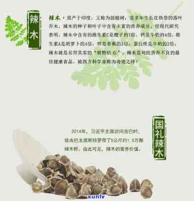 经常喝辣木茶的危害是什么？全面解析其潜在风险