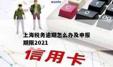 上海个人逾期报税政策规定：最新信息与解读