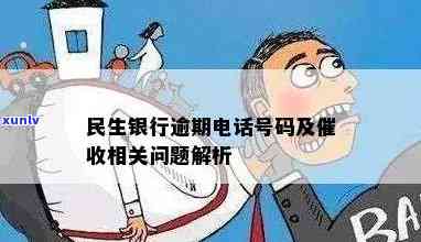 民生银行逾期7个月，总行  ，怎样应对？