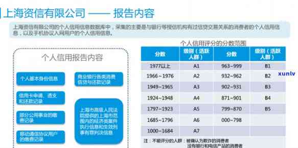 全面熟悉上海资信：公司评价、薪酬待遇及员工感受