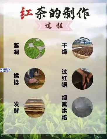 门红茶的 ***  *** ：步骤、视频与配料全解析