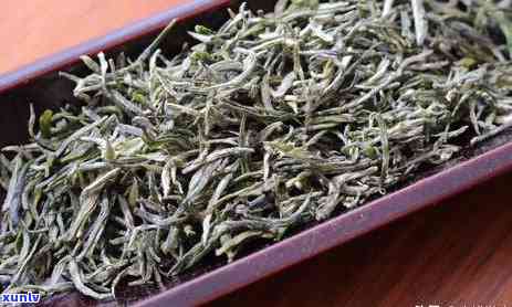 信阳香茶是红茶还是绿茶，揭秘信阳香茶：它是红茶还是绿茶？