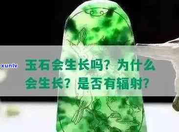 伊朗玉石有辐射吗？探究其放射性风险