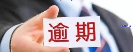 解决逾期的公司的收费方式及公司名称是什么？