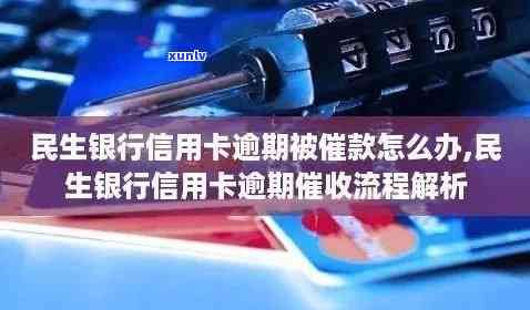 民生银行逾期7个月总行打  怎么办，民生银行逾期7个月，接到总行  该怎样应对？