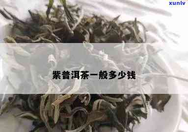 纯料紫茶价格：多少钱一斤？了解紫茶市场价格