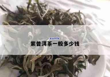 纯料紫茶价格是多少-纯料紫茶价格是多少钱一斤