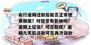 农行逾期还款之后额度还能正常采用么，农行逾期还款后，信用卡额度是不是仍能正常采用？