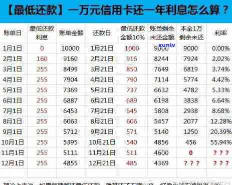 2021年建行信用卡逾期新政策：规则、解读与影响