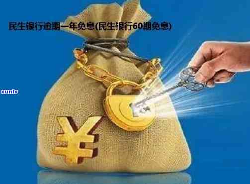 民生银行逾期后可以分期还款吗？是不是安全？