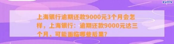 上海银行逾期还款9000元3个月会受到什么处罚？