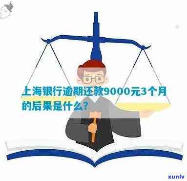 上海银行逾期还款9000元3个月会受到什么处罚？