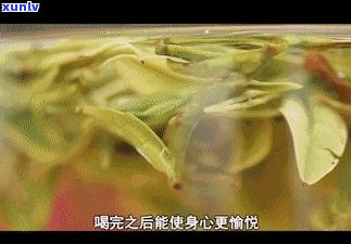 千年野生红茶的泡法-千年野生红茶的特点