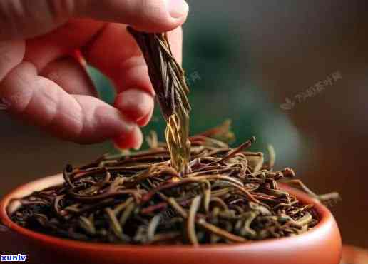 红茶有茶毛怎么办能喝吗，如何处理红茶的茶毛？是否影响饮用口感？