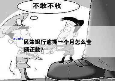 民生银行全款逾期-民生银行全款逾期怎么办