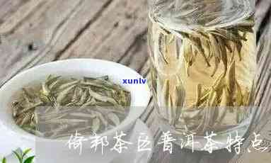 倚邦茶的特点和口感介绍，探秘倚邦茶：特点与口感全解析