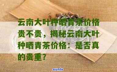 云南大叶种晒青毛茶价格是多少？357克、2008年的价格分别多少？