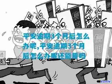 农村系统，建立完善的农村系统：现状、问题与解决策略