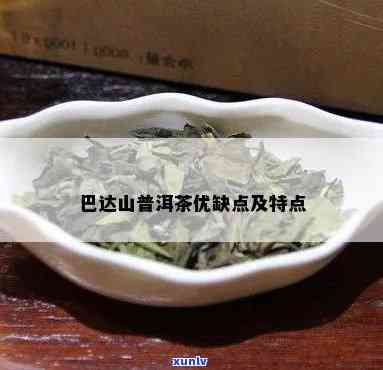 巴达山茶的特点口感是什么？详解其独特口感与风味