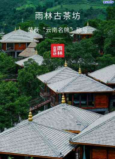 雨林古茶坊，探索神秘的雨林古茶坊：品味大自然的馈赠