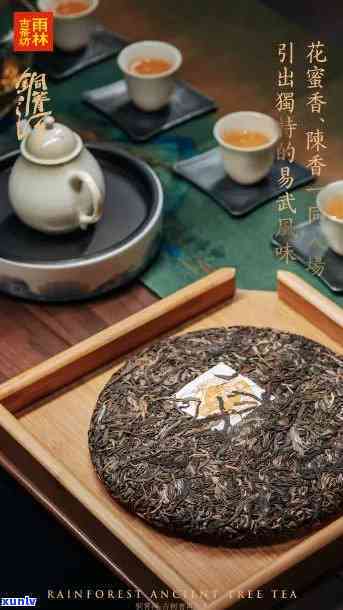 雨林古茶坊，探索神秘的雨林古茶坊：品味大自然的馈赠