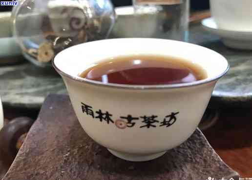 雨林古茶坊，探索神秘的雨林古茶坊：品味大自然的馈赠