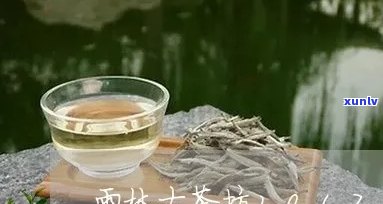 雨林古茶坊古树银花-雨林古树银花价格