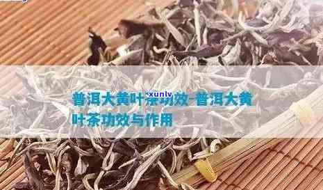 下关沱茶06年1月-下关沱茶06年1月份