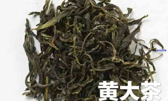 黄大茶：种类与审评全解析