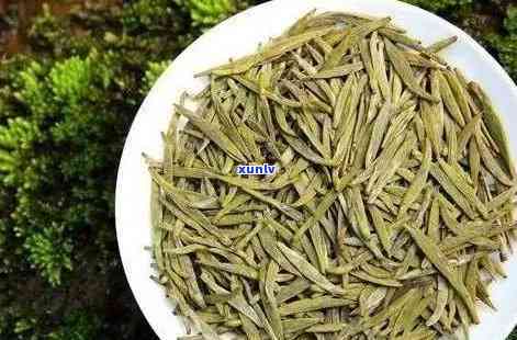 黄大茶：种类与审评全解析