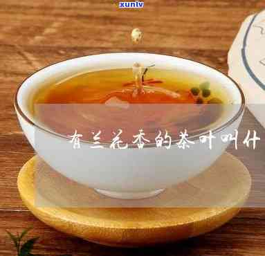 红茶的一种叫什么兰-红茶有兰花香吗