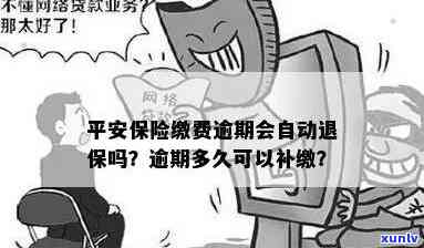 平安保险逾期多久可以补缴，平安保险：逾期后多长时间可以补缴保费？