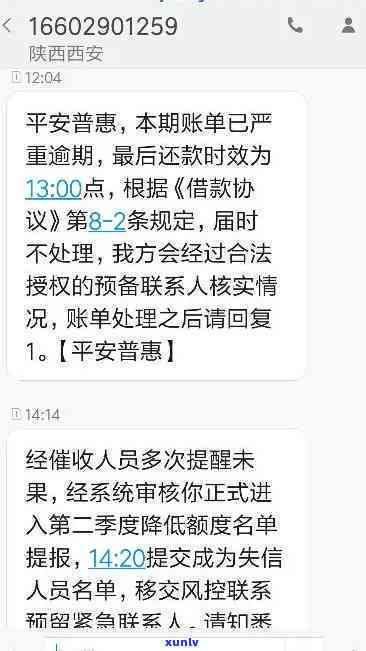 '平安i贷逾期两个月未还，方请求一次性归还，否则可能面临更严重的结果。'