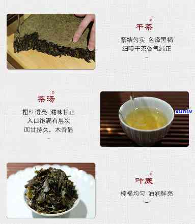 中茶五福千两茶作用-中茶五福千两茶作用是什么