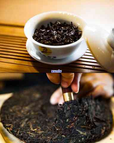 中茶凤庆之一饼熟茶：从原料到工艺的全程解析