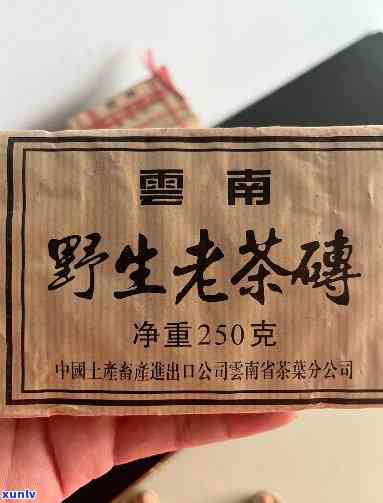 90年代老茶，回味经典：探寻90年代的老茶魅力