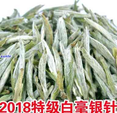 福鼎银针白毫茶价格-福鼎白毫银针茶价格表