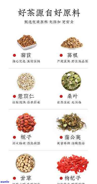 京东菊苣栀子茶价格-菊苣栀子茶