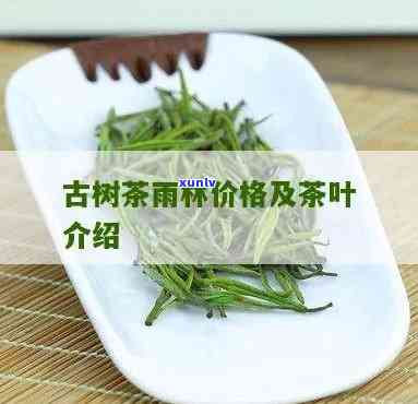 雨林古茶坊：茶叶品质如何？价格是多少？