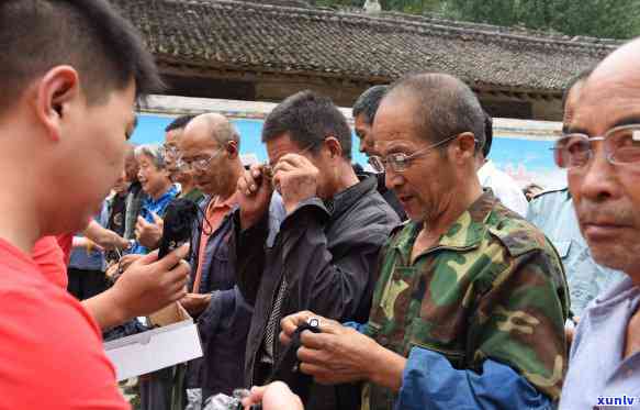 雨林古茶坊108棵树价格全揭秘：多少钱一株？详细价格表在这里！