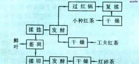 门红茶 *** 流程详解：步骤、图片与视频全解析